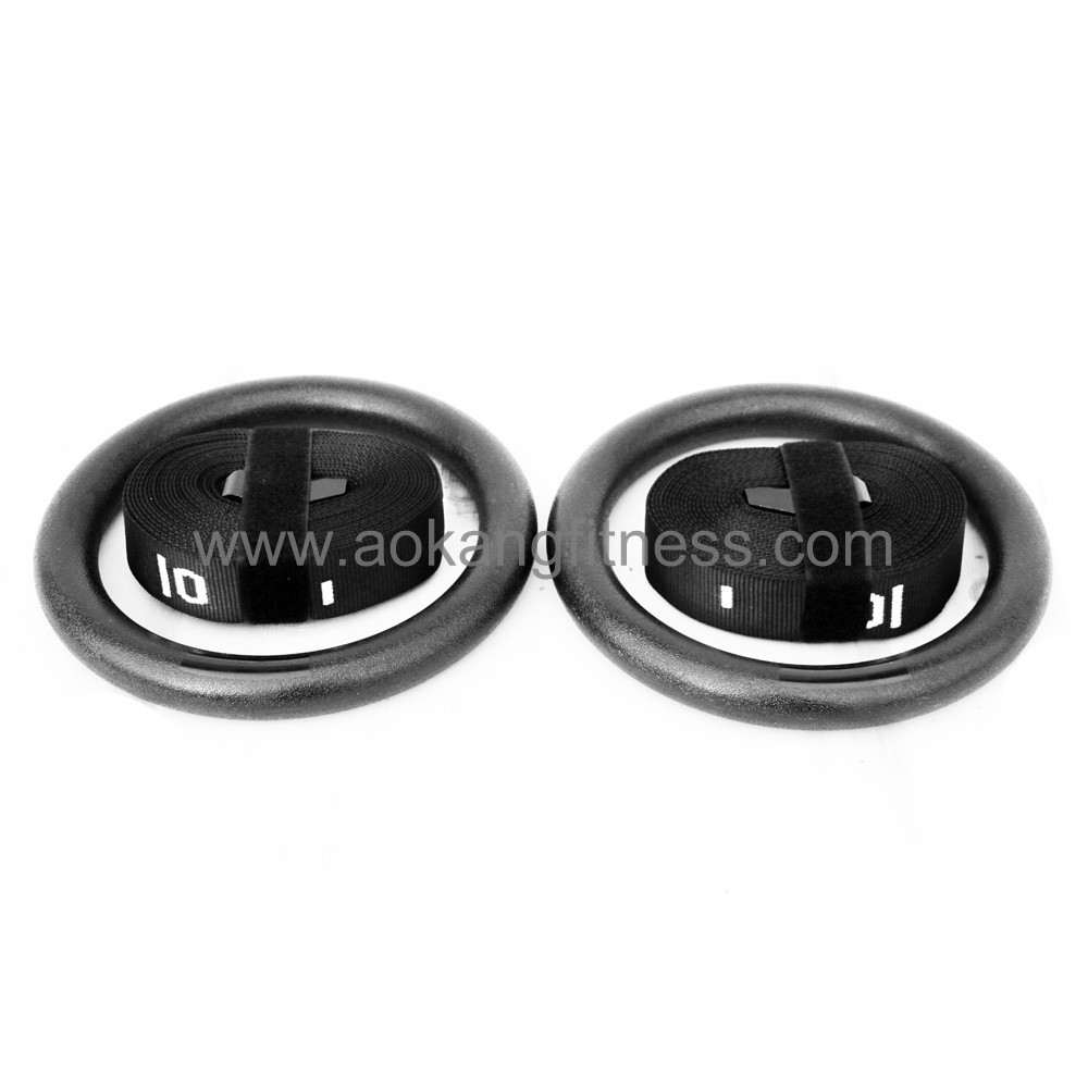 ABS Gym Ring