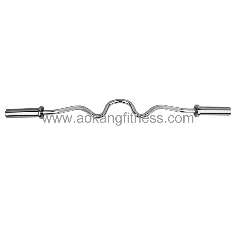 Olympic Curl Bar