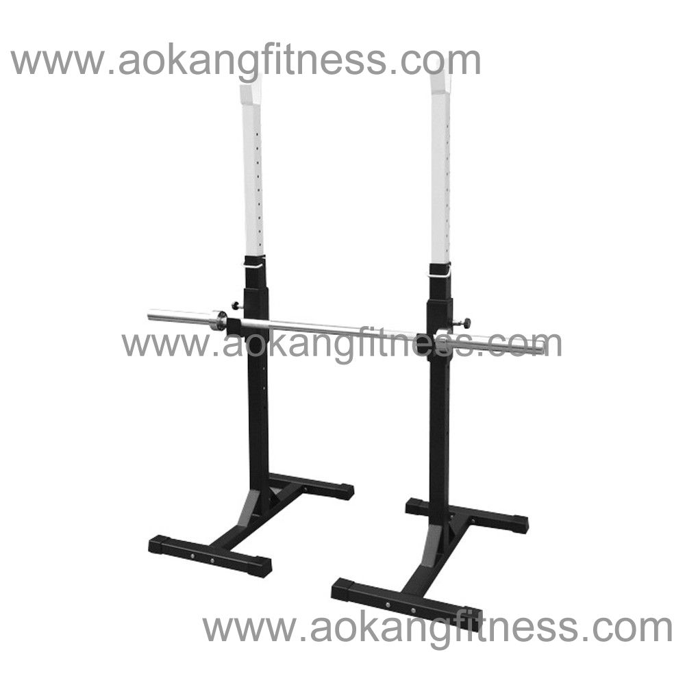 Squat Stands